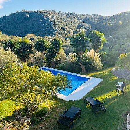 La Fontana Villa Cortes de la Frontera Dış mekan fotoğraf