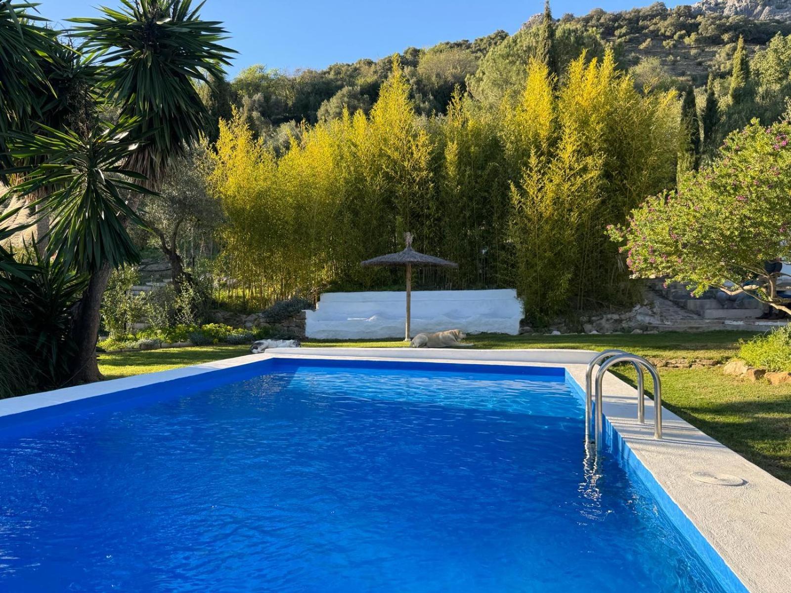 La Fontana Villa Cortes de la Frontera Dış mekan fotoğraf
