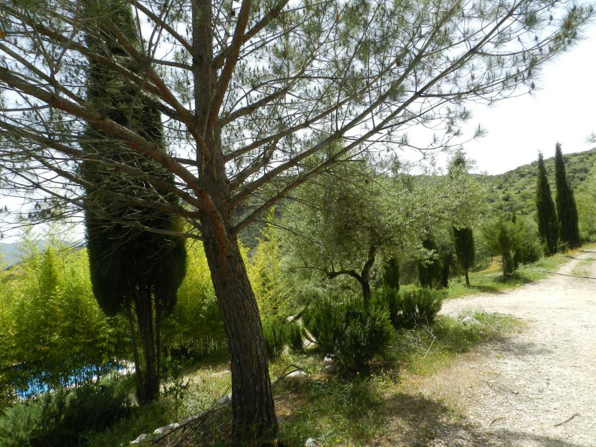 La Fontana Villa Cortes de la Frontera Dış mekan fotoğraf